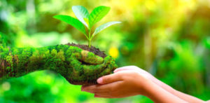 Person's hands accepting a plant from another person whose hand looks like it's made of grass or Earth